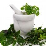 Use Herbs For Weight Loss
