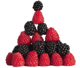 Raspberry Ketone Max