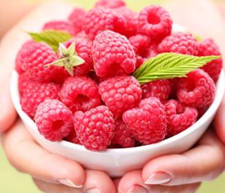 Raspberry Ketone Supplements