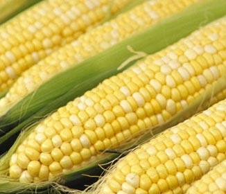 The Truth about CORN