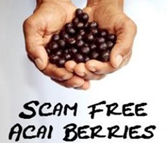 Acai Berry Products