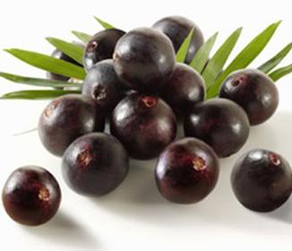 Myths About the Acai Berry