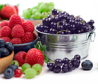 Losing Weight with Acai Berry