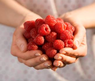 Raspberry Ketones Diet