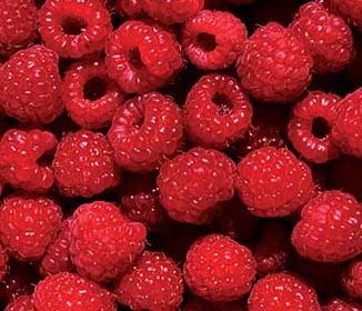 Raspberry Ketone Supplements
