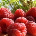 Raspberries Fruit