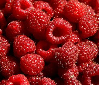 Raspberry Ketones