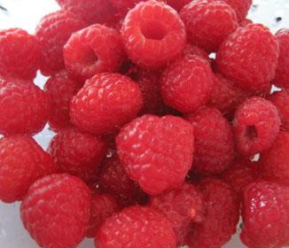 Raspberry Ketones