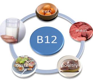 Vitamin B12 Sources
