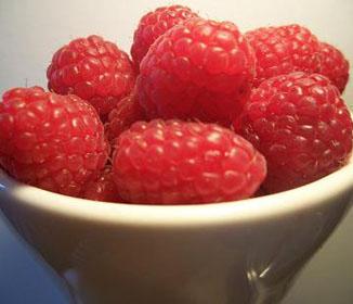 Raspberry Ketones Benefits